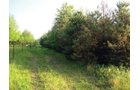 Property photo 1 - 10 Acre Building Site Real Estate Auction
